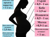 Килограмите по време на&nbsp;бременността